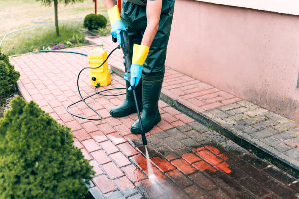 Best Animal Enclosure Cleaning  in Menasha, WI
